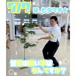もうすぐ  七夕☆彡